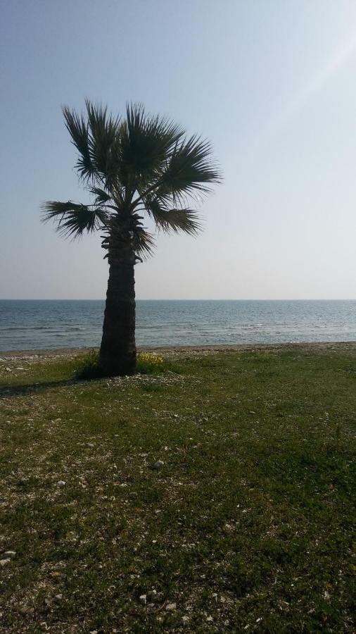 Il Mare Villa Larnaca Exteriör bild